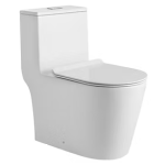 Richford R635 一體式自由咀座廁